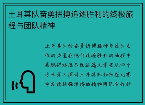 土耳其队奋勇拼搏追逐胜利的终极旅程与团队精神