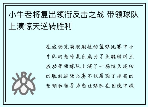 小牛老将复出领衔反击之战 带领球队上演惊天逆转胜利