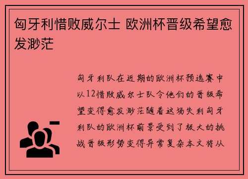 匈牙利惜败威尔士 欧洲杯晋级希望愈发渺茫